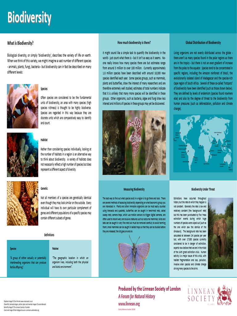 Biodiversity Poster | PDF
