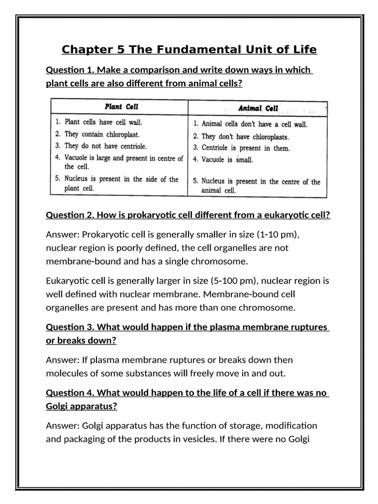 9th Notes BS | PDF