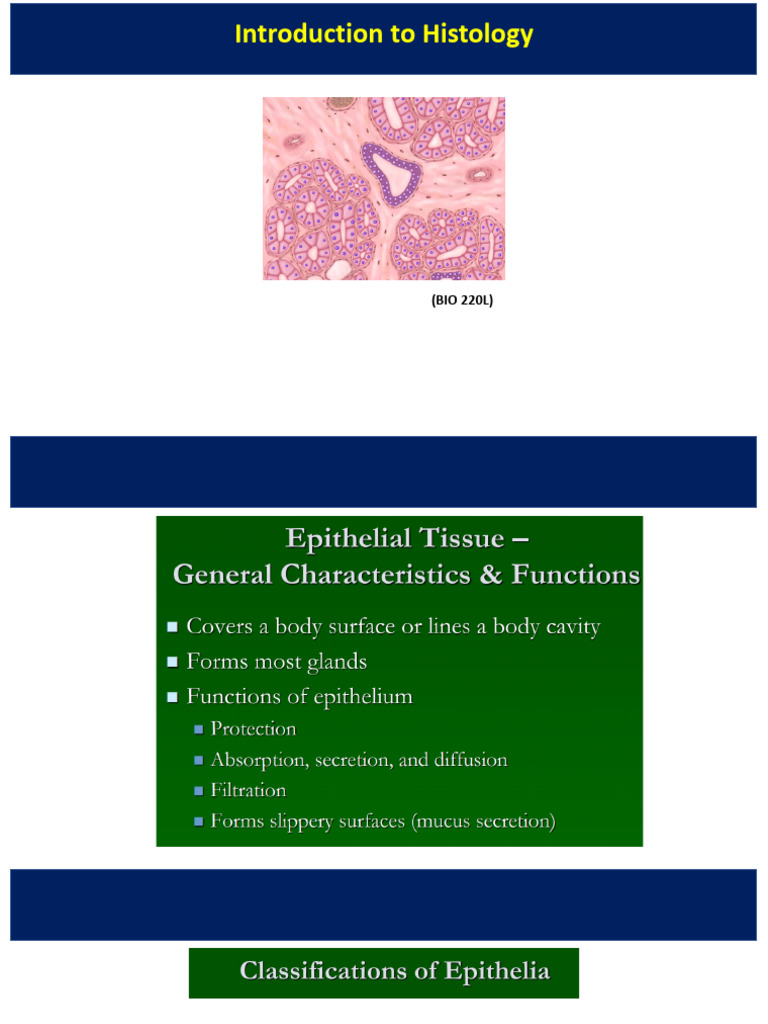 General Histology BIO220 - Epithelial Tissues | PDF