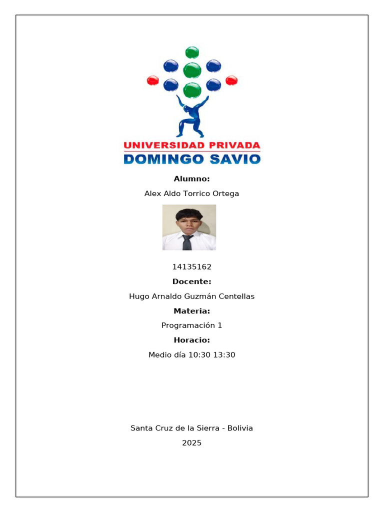 PROGRAMACION 1 ACTIVIDAD 1 | PDF