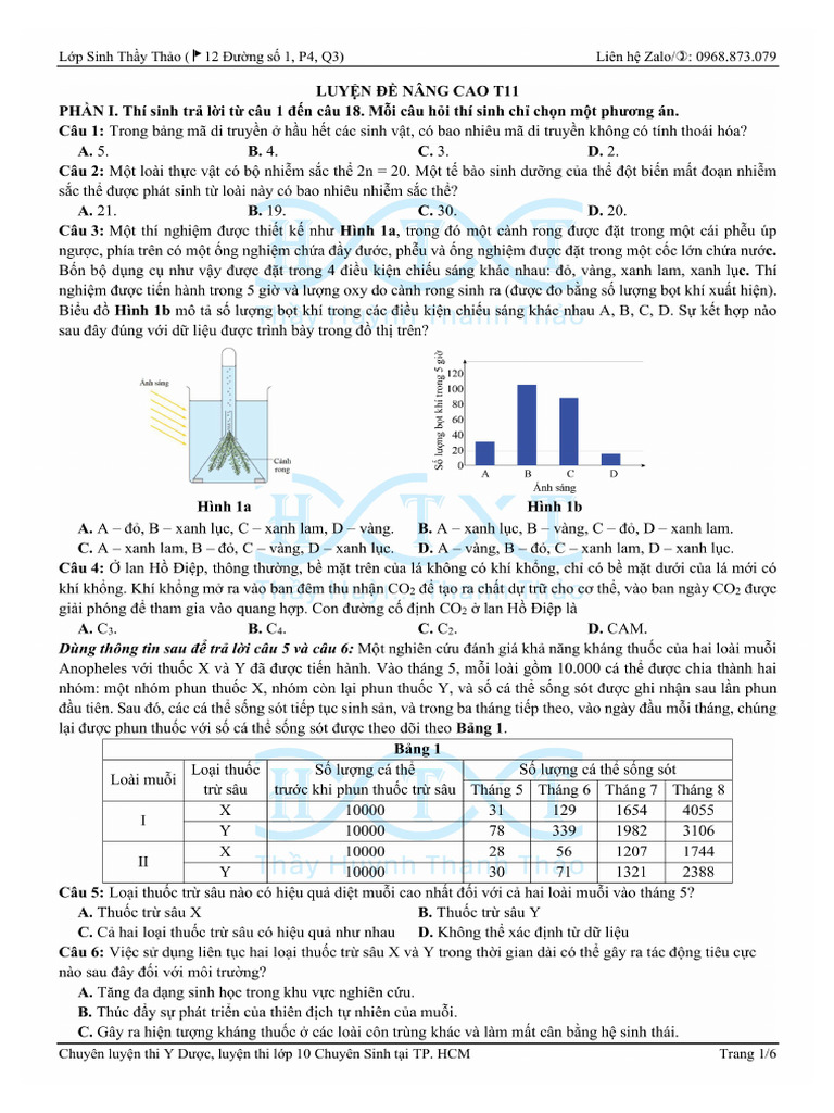 T11 | PDF