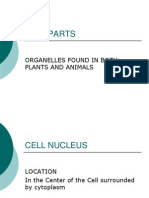 Cell Parts: Organelles Found in Both Plants and Animals