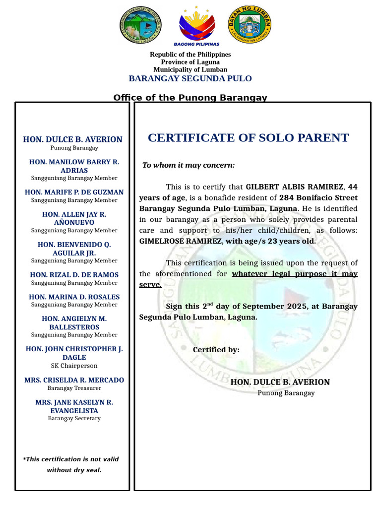 Solo Parent Certificate | PDF