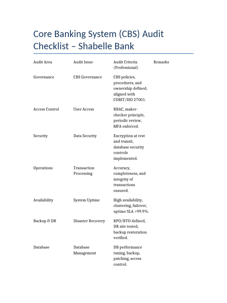 CBS Audit Shabelle Bank | PDF