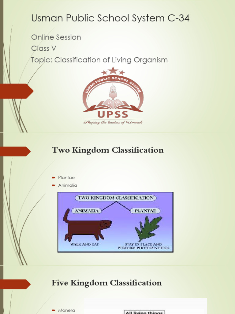 On Classification | PDF