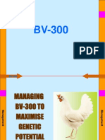 BV 300 Management