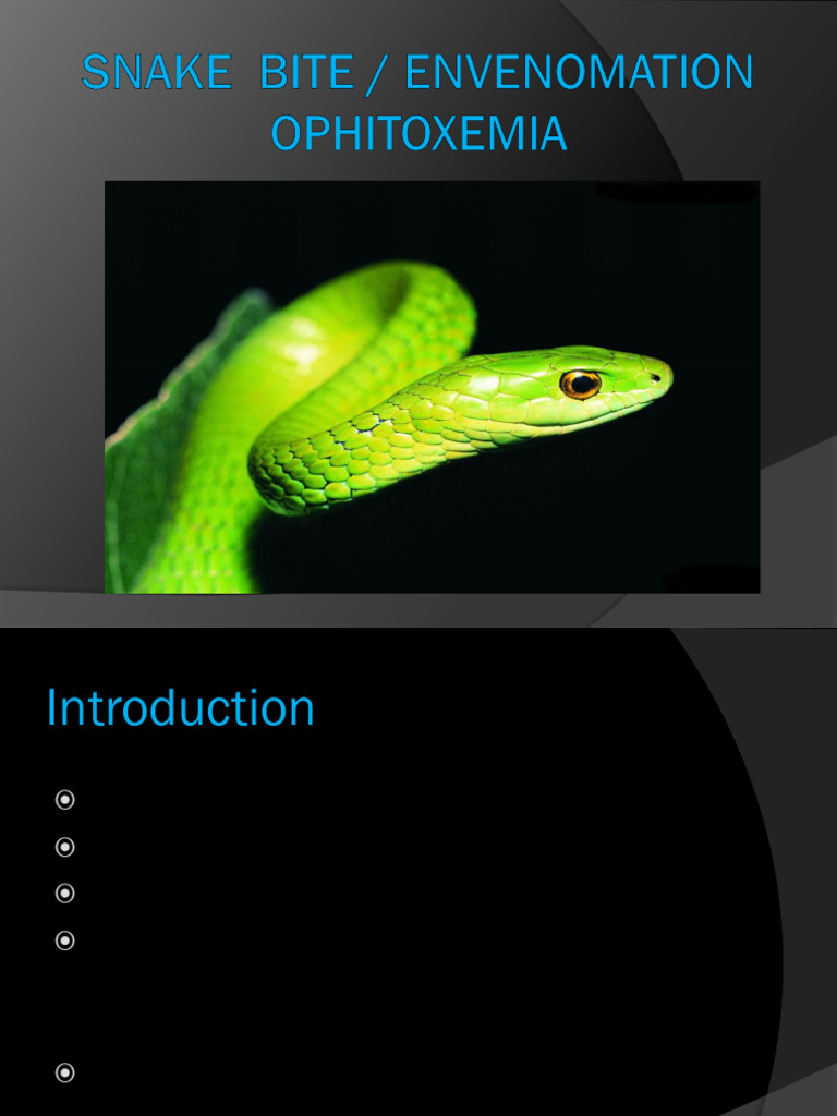 Snake Bite | PDF | Snake | Venom