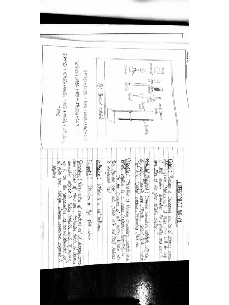 Class 12th Practical Project | PDF