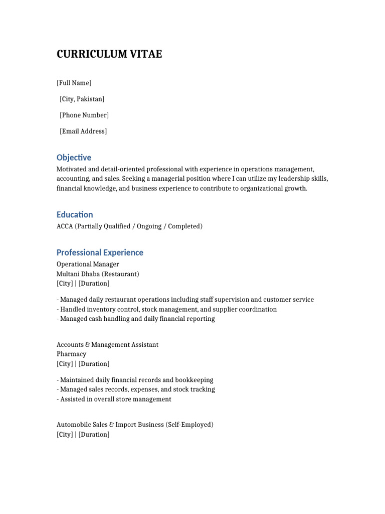 Professional CV Template | PDF