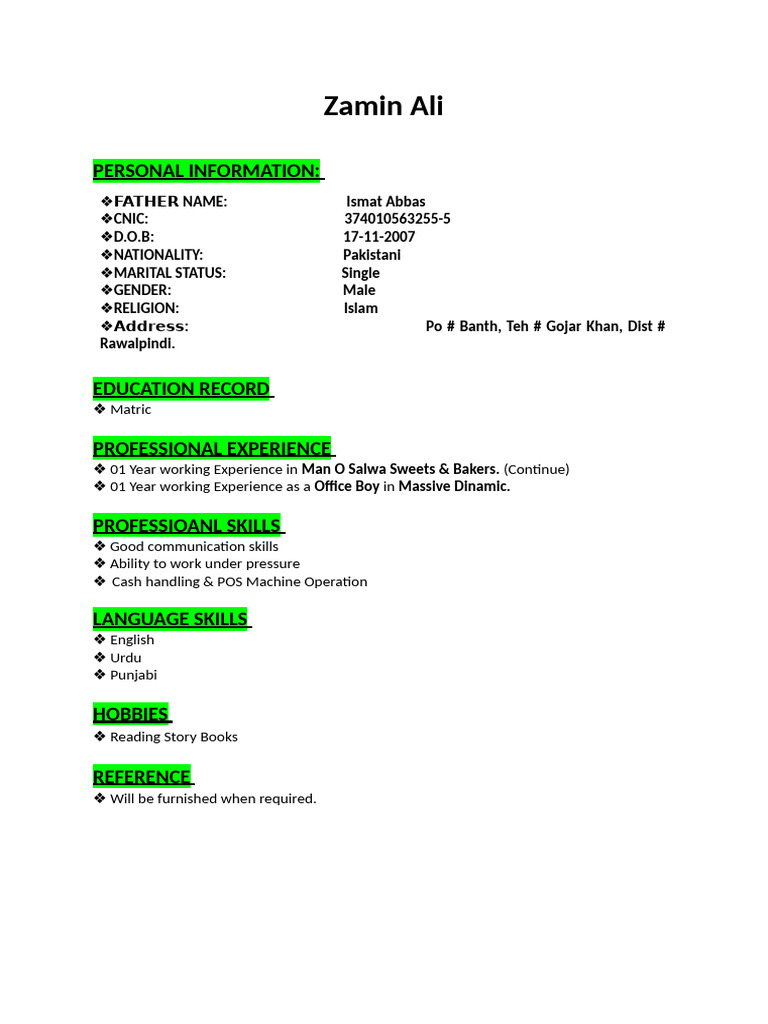 Simple CV | PDF