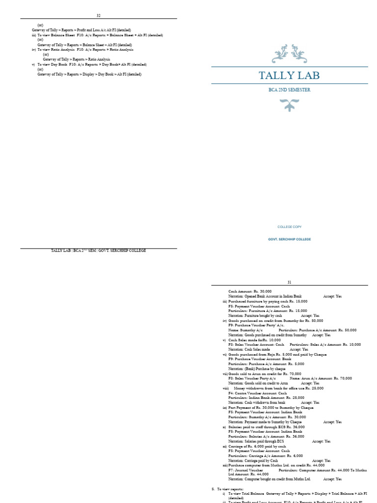 Tally Lab Booklet | PDF