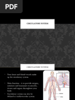 Overview of the Circulatory System | PDF | Blood Vessel | Heart