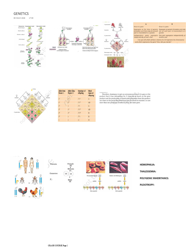 Genetics | PDF