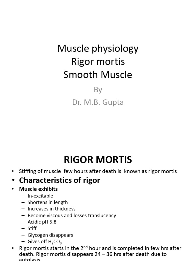 Lect 22 Smooth Muscle | PDF | Skeletal Muscle | Cardiac Muscle