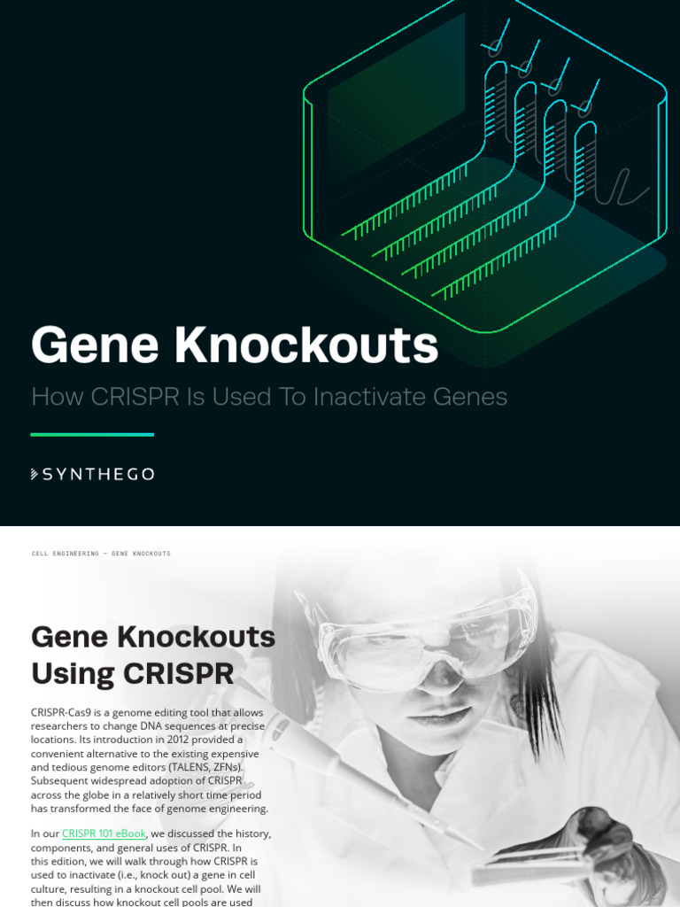 Gene Knockout 20190319 | PDF | Gene Knockout | Zygosity
