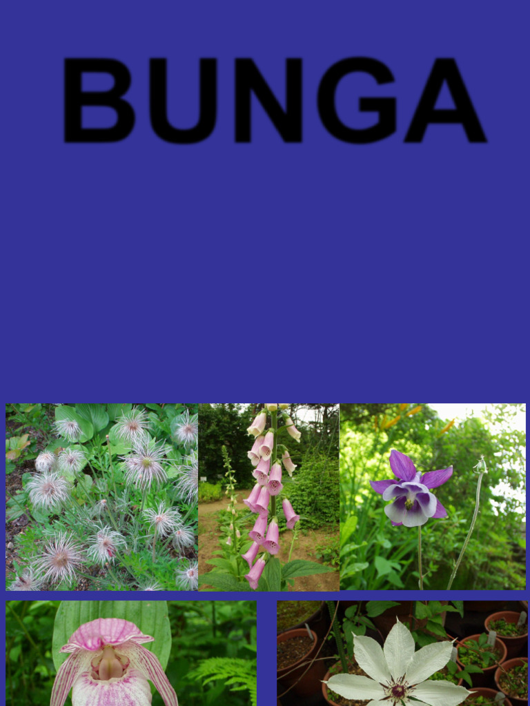 Anatomi Bunga | PDF