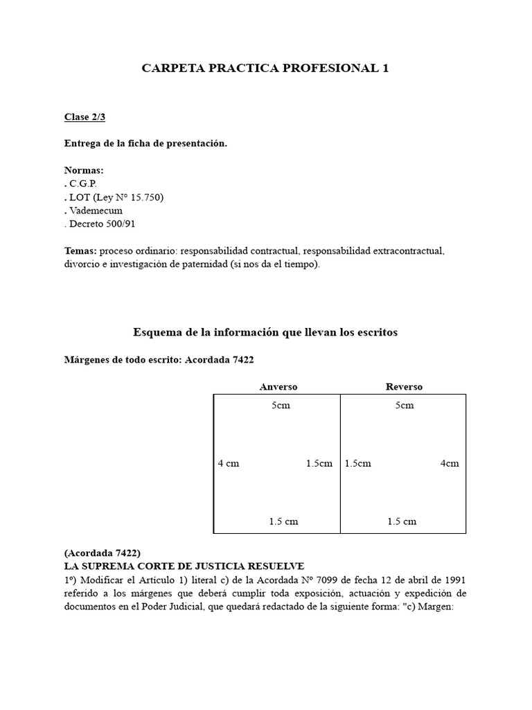 Practica Profesional | PDF