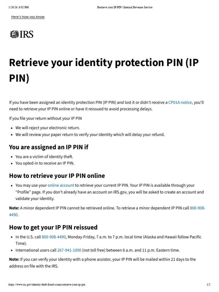 Retrieve Your IP PIN | PDF