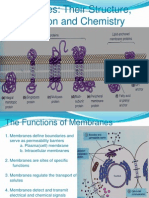 Plasma Membrane(Edited)