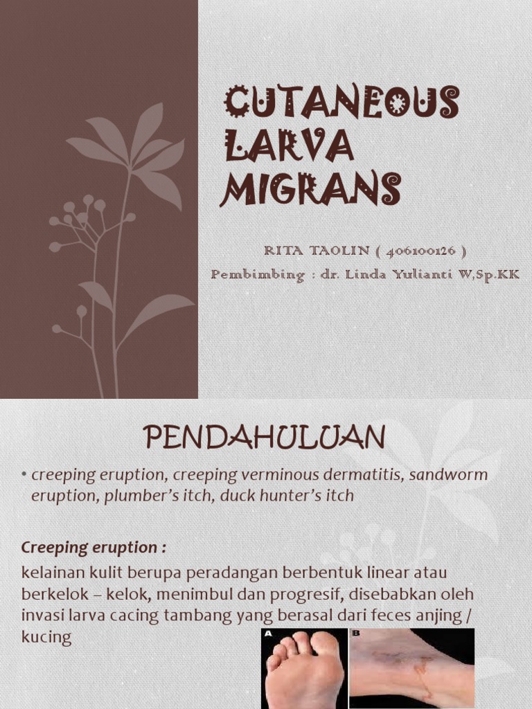 Cutaneous Larva Migrans | PDF