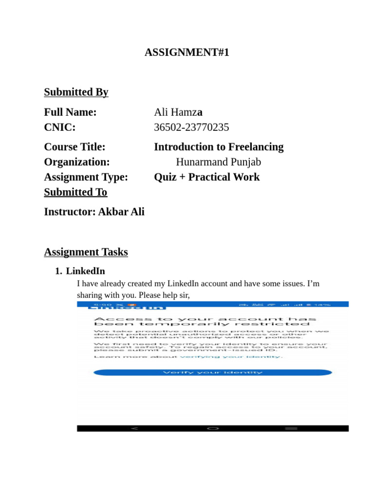 ASSIGNMENT | PDF | Linked In | Freelancer