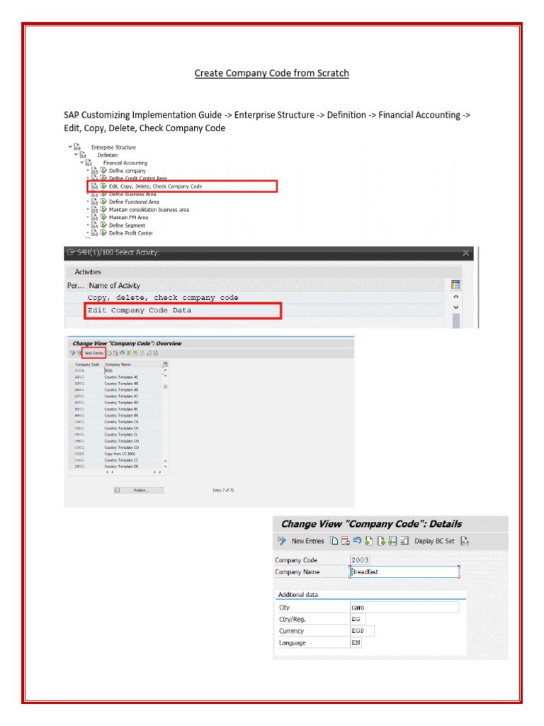 Create Company Code From Scratch | PDF