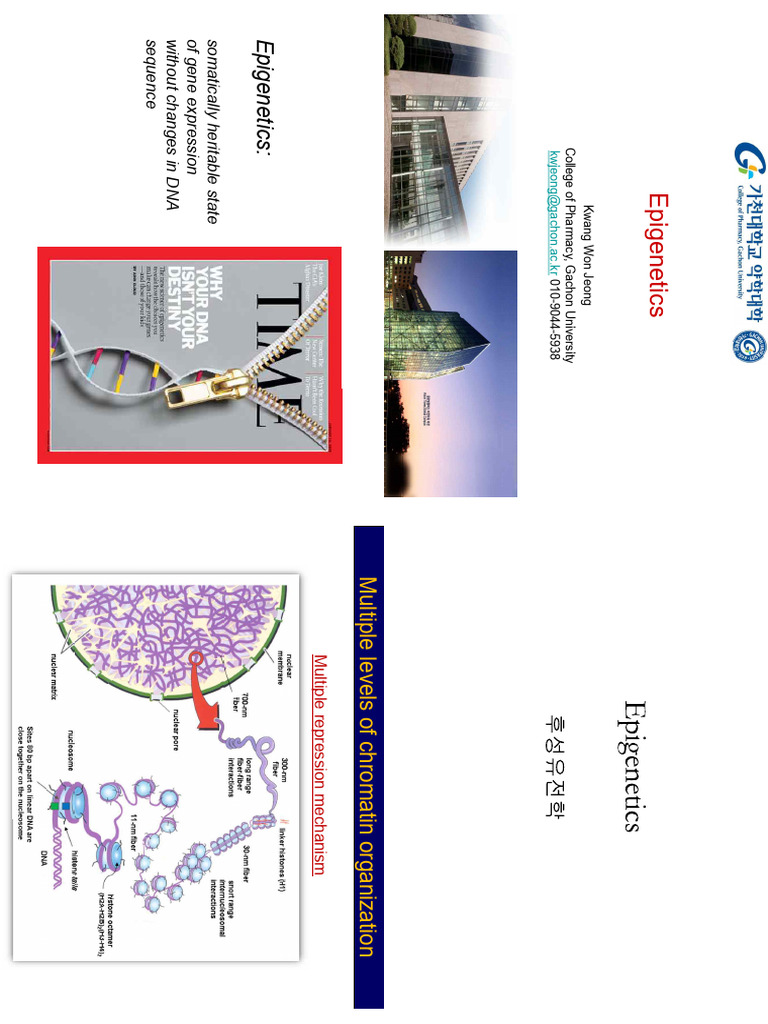 1 Epigenetics Introduction 2 | PDF