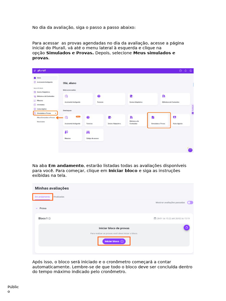 Acessar As Avaliações No Plurall | PDF