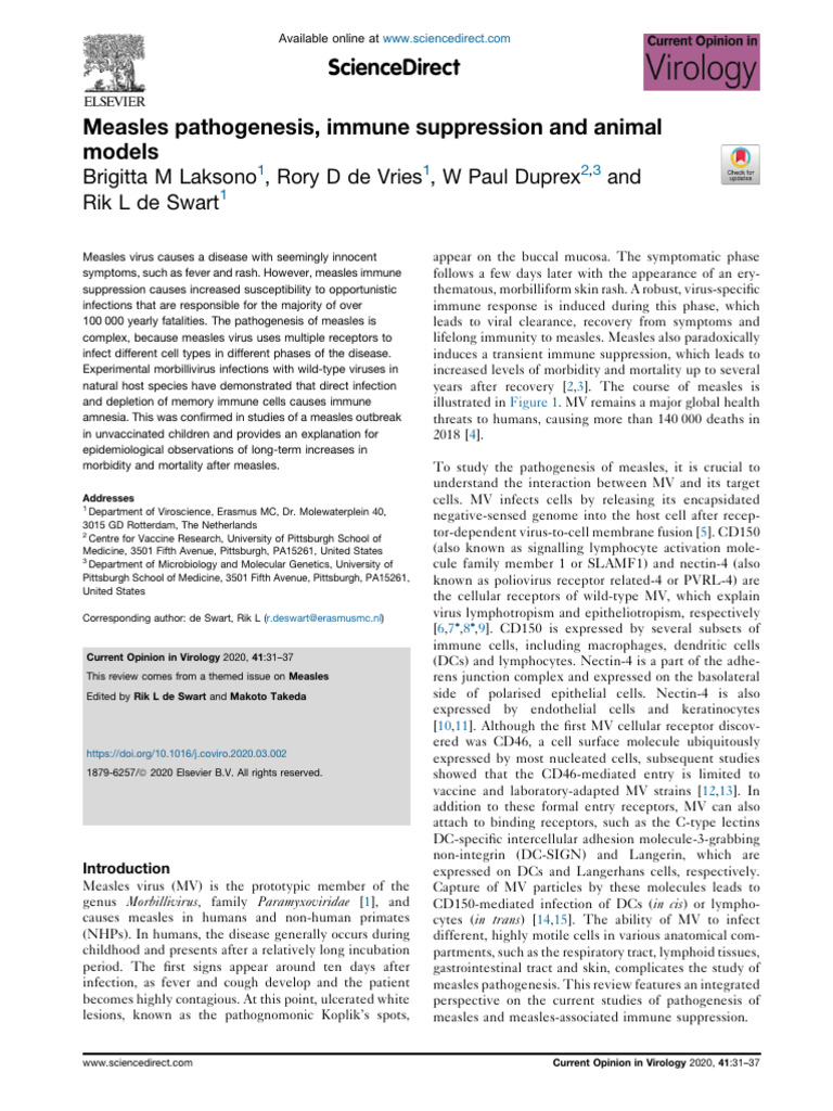 Measles Pathogenesis, Immune Suppression and Animal Models | PDF