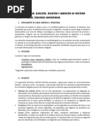 quimo-y-quilo-proceso-digestivo-explicado-pdf-digesti-n-tracto
