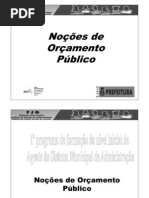 Noções de orçamento público