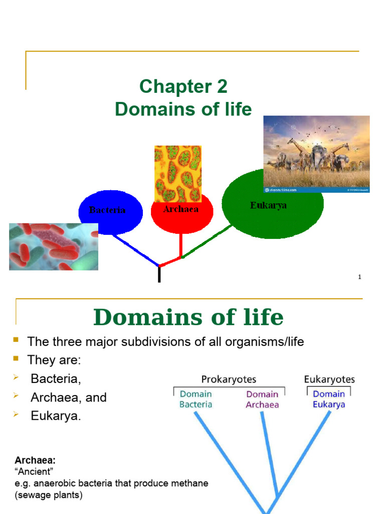 Chapter 2. Domains of Life | PDF