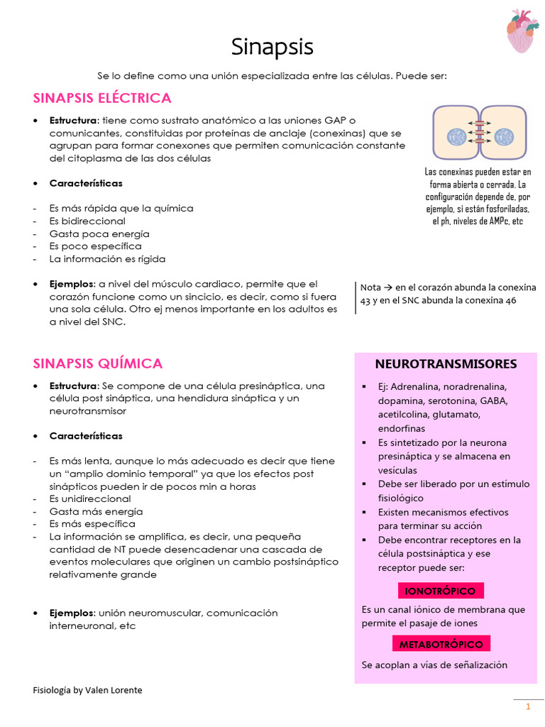 Sinapsis | PDF