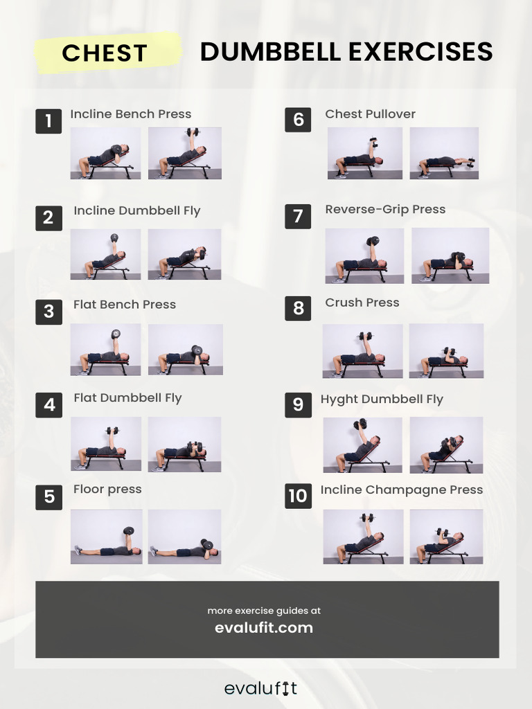 10 Best Chest Dumbbell Exercises Evalufit | PDF