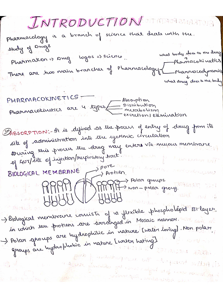 Basic Pharma | PDF