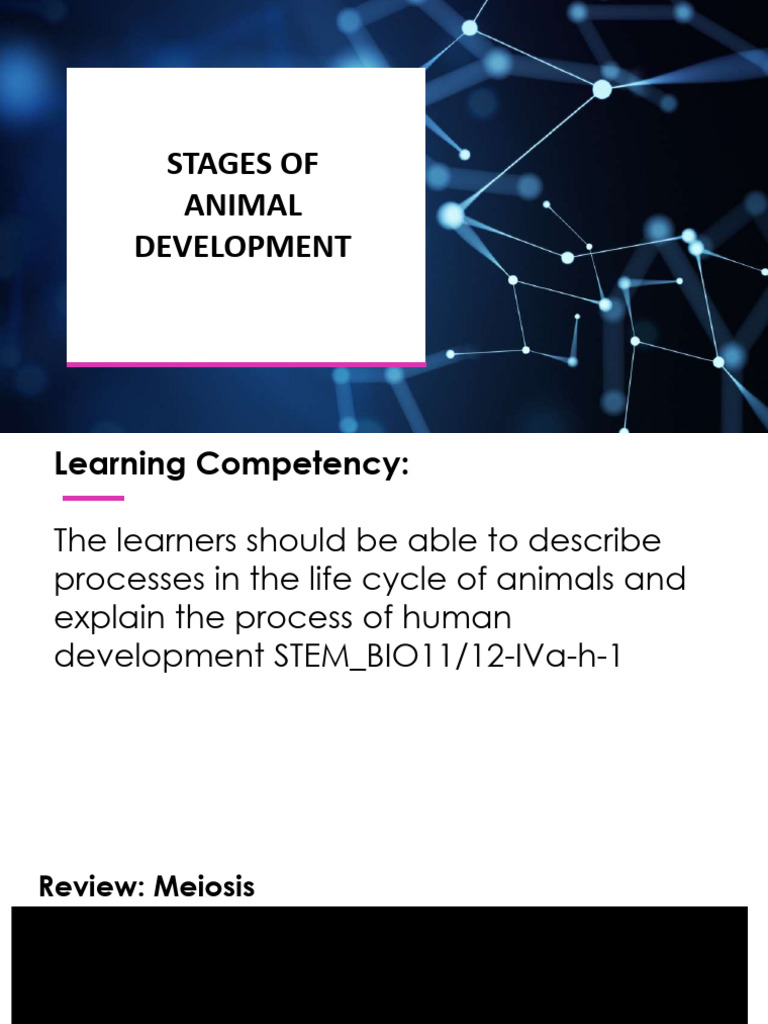 stages-of-animal-development-pdf