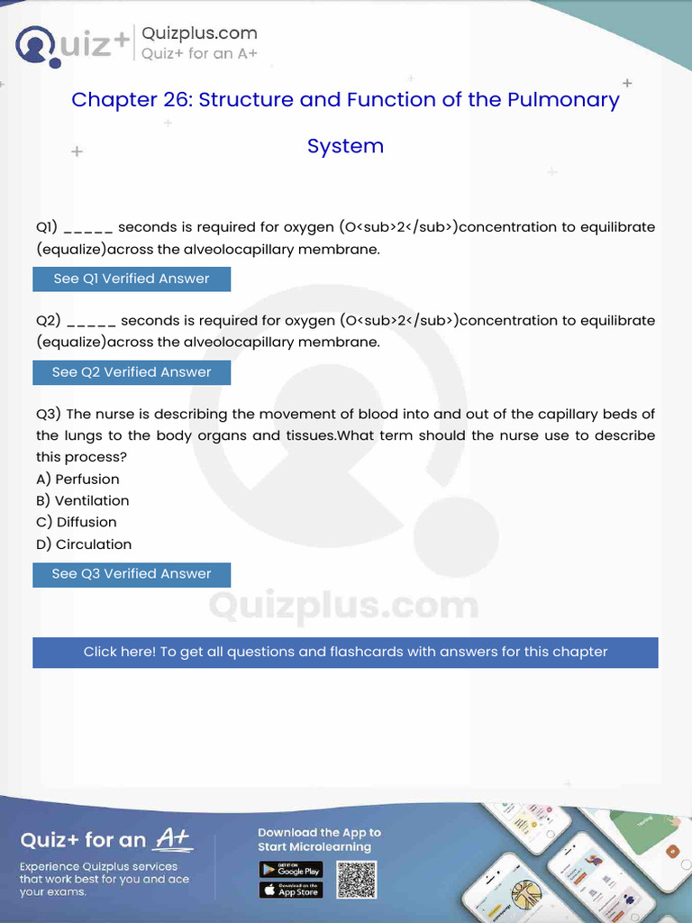 Seconds Is Required For Oxygen Osub2Subconcentration To Equilibrate ...