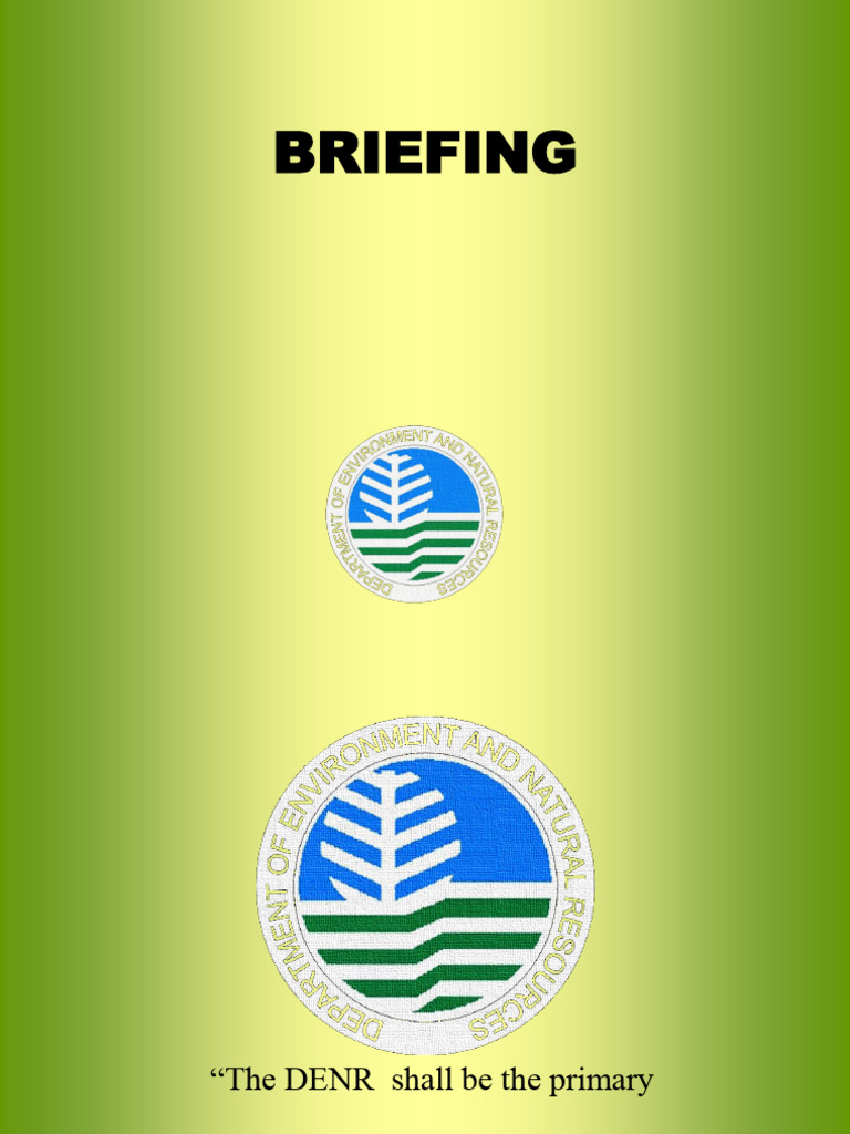 28 Plan Implementation - DeNR Organization and Functions | PDF ...