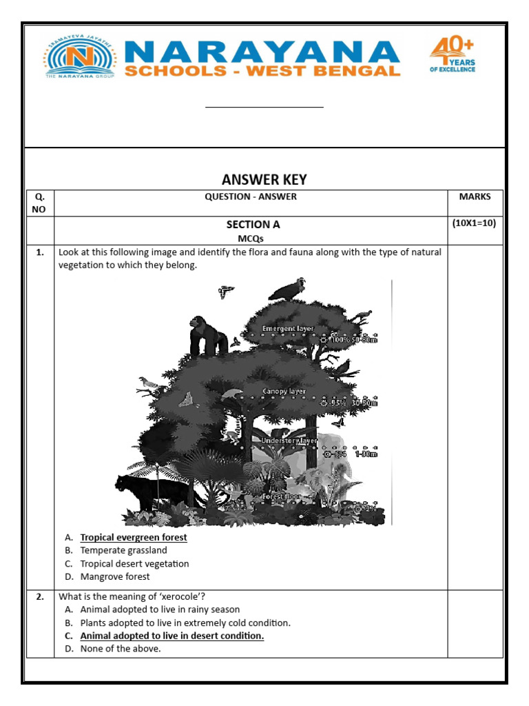 Nithila's SST Paper | PDF