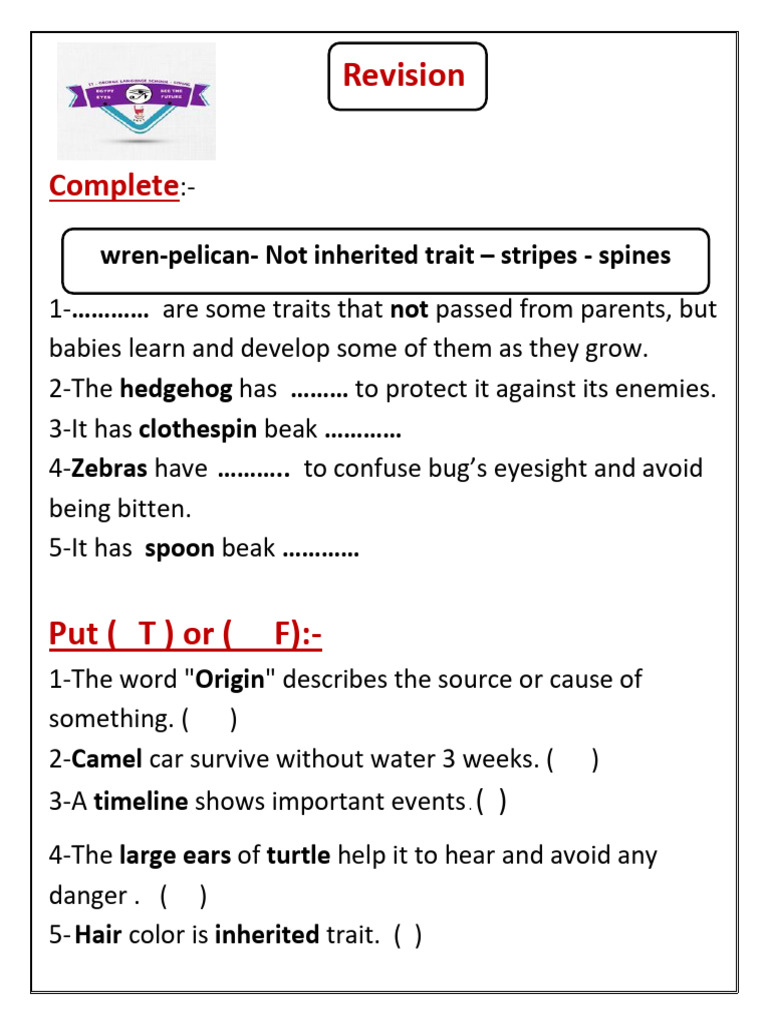 Science Revision Year 3 | PDF