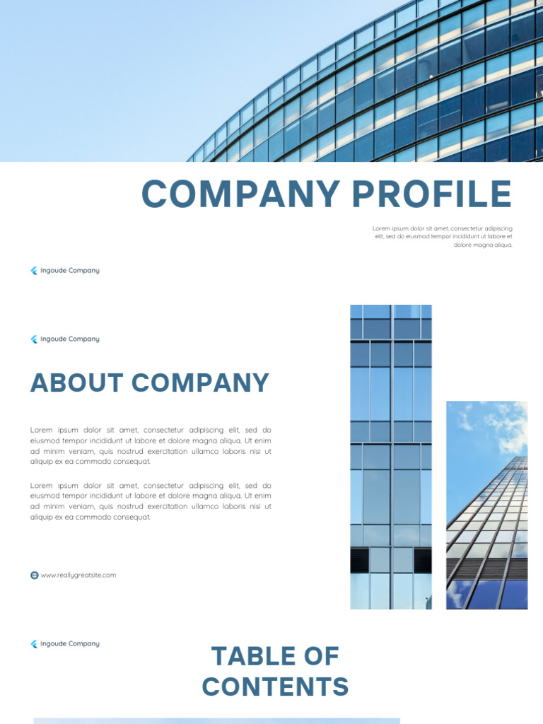 Light Blue and White Minimalist Simple Company Profile Presentation | PDF