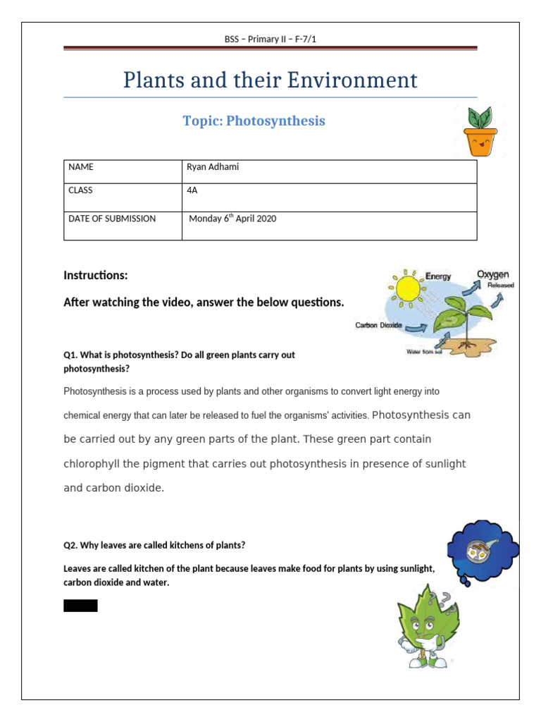 Photosynthesis Worksheet | PDF