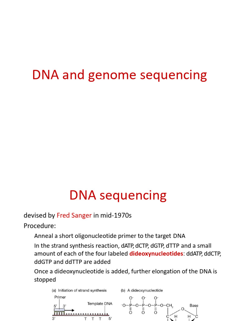 DNA and Genome Sequencing | PDF | Dna Sequencing | Primer (Molecular ...