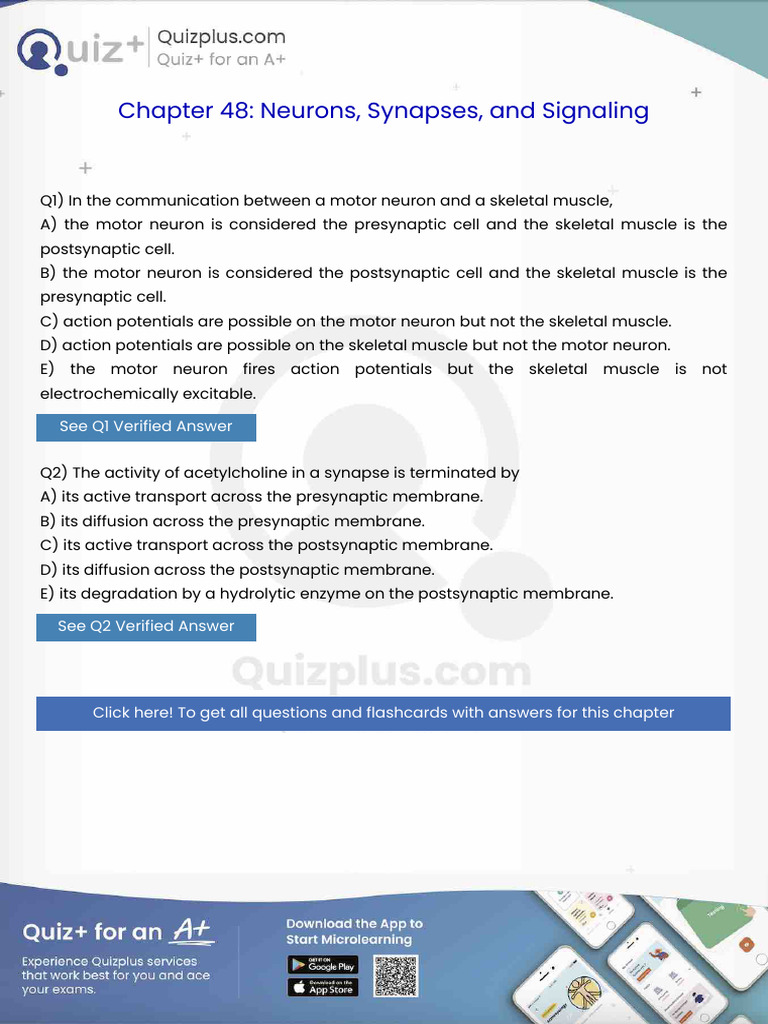 In The Communication Between A Motor Neuron and A Skeletal Muscle | PDF ...