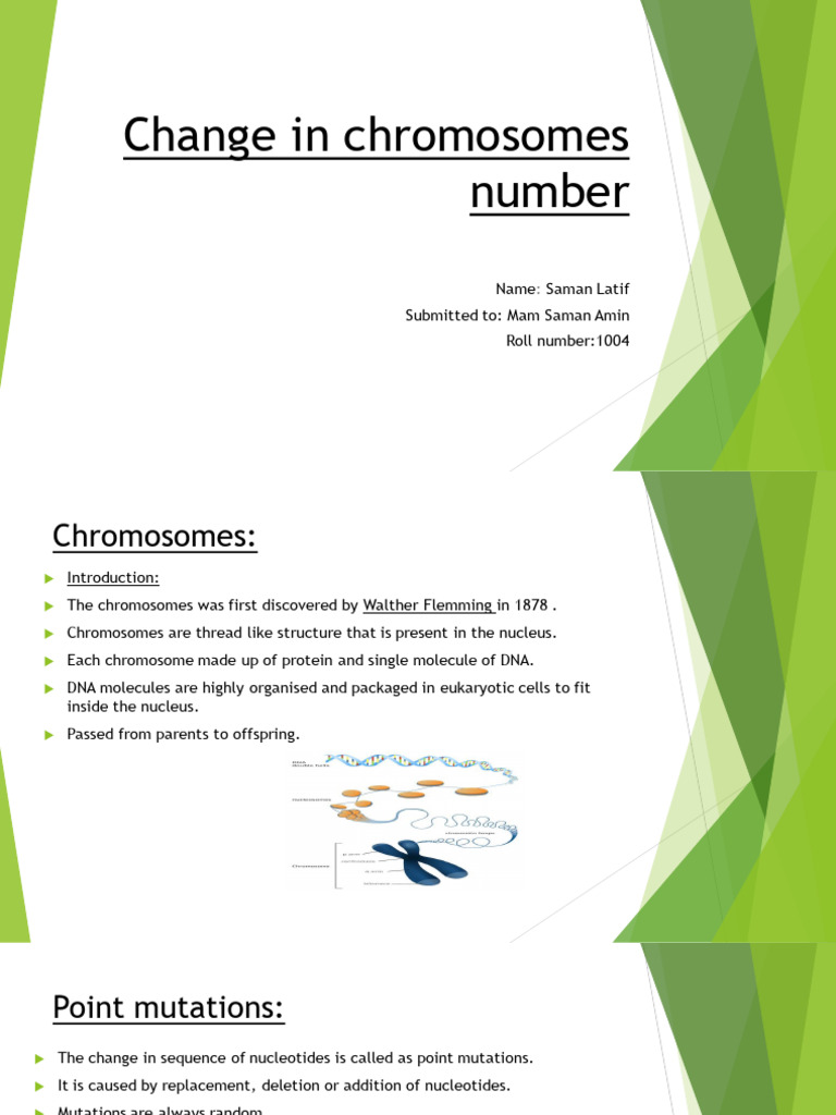 Presentation (3) 1 | PDF | Ploidy | Chromosome