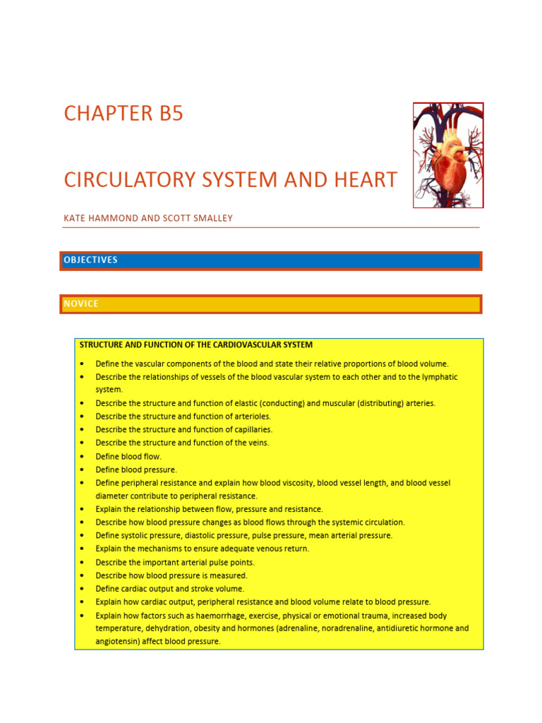 Chapter B5. Circulatory System and Heart | PDF | Heart | Myocardial ...