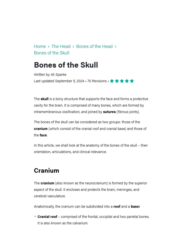 Bones of The Skull - Structure | PDF | Skull | Human Nose