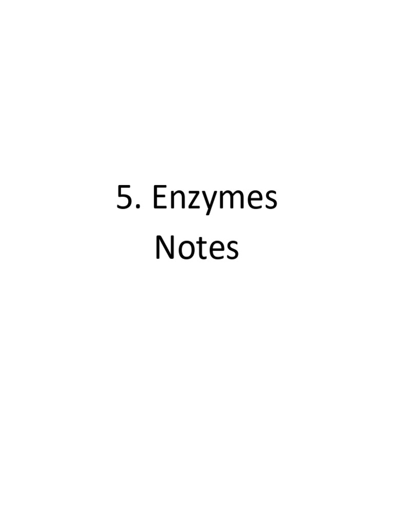 Notes - Chapter 5 Enzymes | PDF