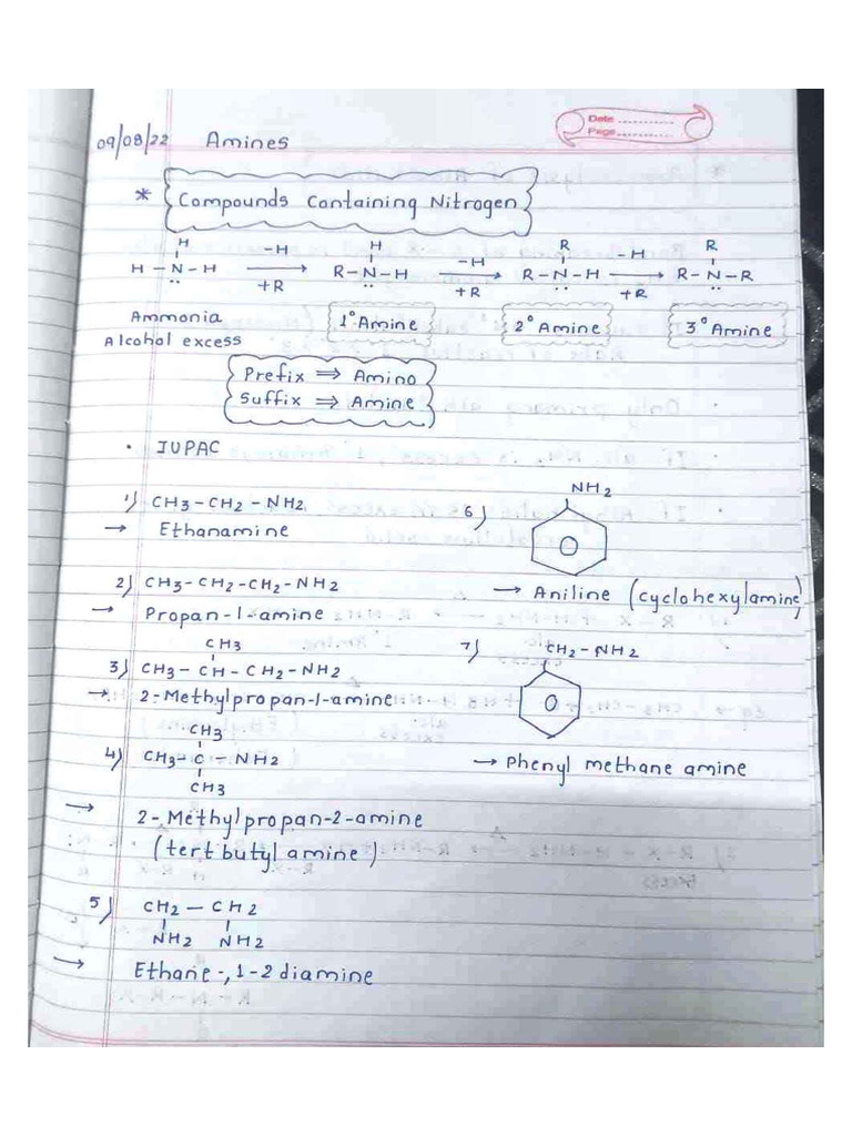 Amines Notes | PDF