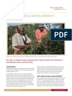 Agricultural Development Strategy Overview